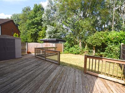Picture 14